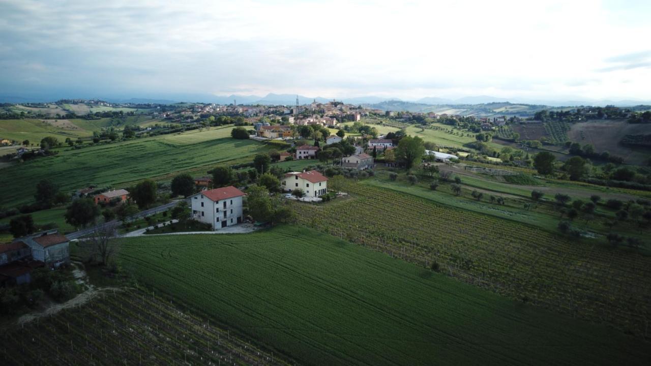 B&B Al Chicco D'Uva Morro dʼAlba Eksteriør billede